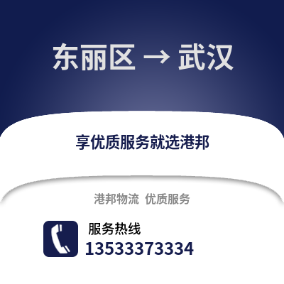 东丽区到武汉物流公司,东丽区物流到武汉,东丽区至武汉物流专线