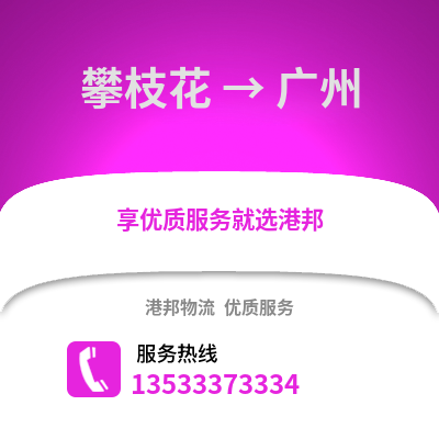攀枝花到广州货运公司|攀枝花到广州货运专线