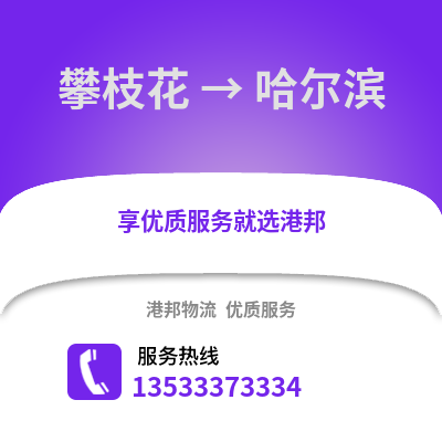 攀枝花到哈尔滨物流公司,攀枝花到哈尔滨货运,攀枝花至哈尔滨物流专线2