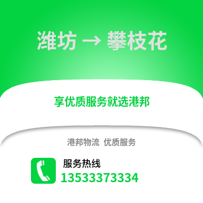 潍坊到攀枝花货运公司|潍坊到攀枝花货运专线