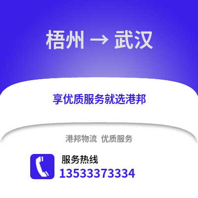 梧州到武汉物流公司_梧州物流到武汉_梧州至武汉物流专线